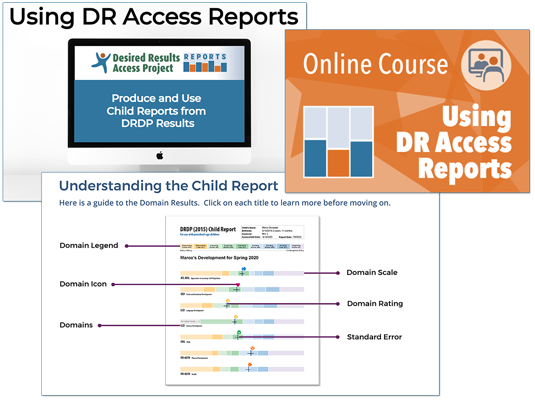 Using DR Access Reports Online Course screen shots