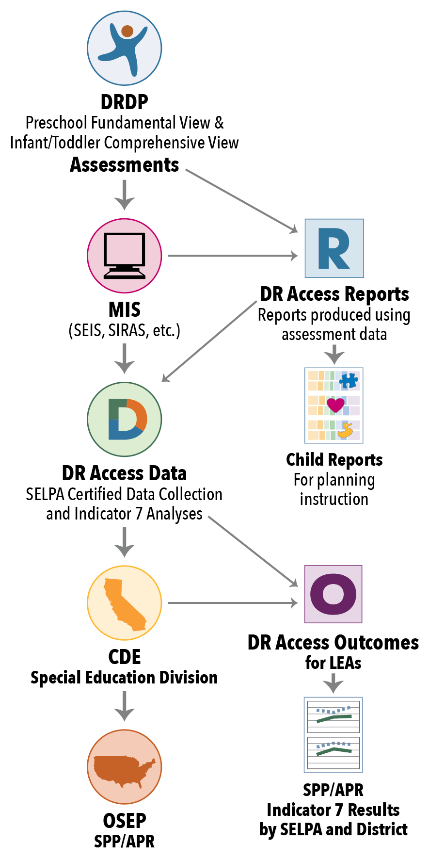 A graphic showing the path of data from the DRDP Assessments to MIS to DR Access Data system to CDE Special Education Division to OSEP SPP/APR, with branches off of the assessments going to DR Access Reports and back to DR Access Data which also branches out to DR Access Outcomes for LEAs and generating the SPP/APR Indicator 7 Results by SELPA and district reports